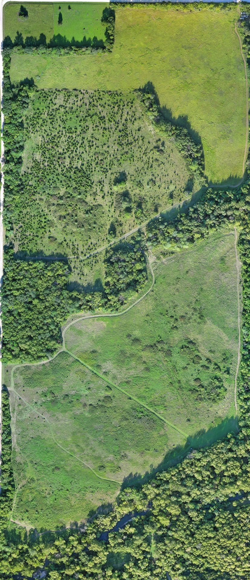 Custom Mapping